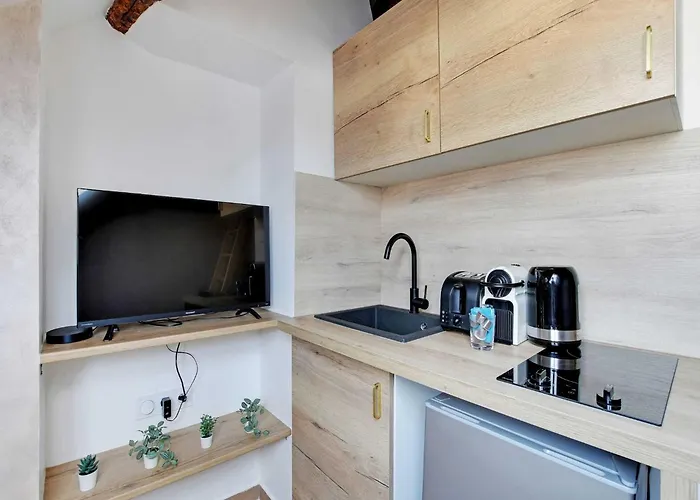 Amazing - St Germain Des Pres - Mobility Lease Paris